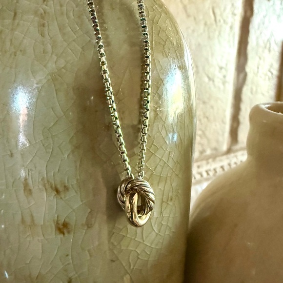 David Yurman Petite Cable Linked Necklace - Picture 5 of 14